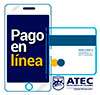 Pago en Linea